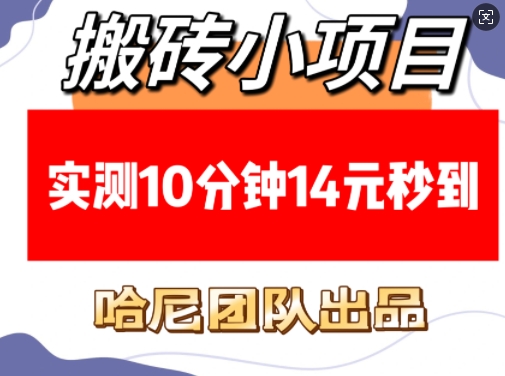 搬砖小项目，实测10分钟14元秒到，每天稳定几张(赠送必看稳定)——大叔资源库创业项目网-大叔资源库-资源-项目-副业-兼职-创业-大叔的库-大叔的库