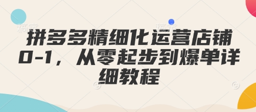 拼多多精细化运营店铺0-1，从零起步到爆单详细教程——大叔资源库创业项目网-大叔资源库-资源-项目-副业-兼职-创业-大叔的库-大叔的库