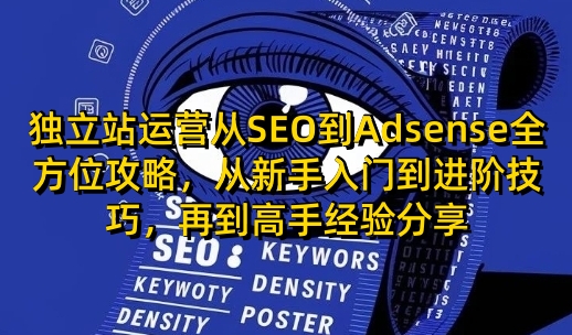 独立站运营从SEO到Adsense全方位攻略，从新手入门到进阶技巧，再到高手经验分享——大叔资源库创业项目网-大叔资源库-资源-项目-副业-兼职-创业-大叔的库-大叔的库