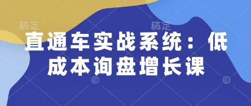 直通车实战系统：低成本询盘增长课，让个人通过技能实现升职加薪，让企业低成本获客，订单源源不断——大叔资源库创业项目网-大叔资源库-资源-项目-副业-兼职-创业-大叔的库-大叔的库