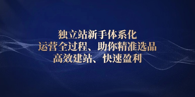 （13914期）独立站新手体系化 运营全过程，助你精准选品、高效建站、快速盈利_大叔资源库创业项目网-大叔资源库-资源-项目-副业-兼职-创业-大叔的库-大叔的库