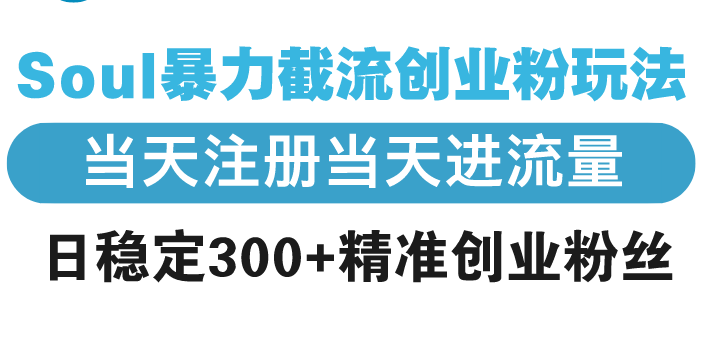 （13935期）Soul暴力截流创业粉玩法，当天注册当天进流量，日稳定300+精准创业粉丝_大叔资源库创业项目网-大叔资源库-资源-项目-副业-兼职-创业-大叔的库-大叔的库