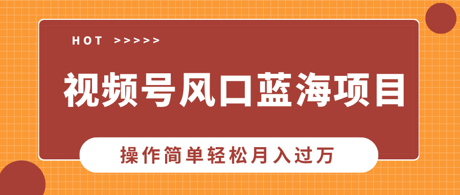 （13945期）视频号风口蓝海项目，中老年人的流量密码，操作简单轻松月入过万_大叔资源库创业项目网-大叔资源库-资源-项目-副业-兼职-创业-大叔的库-大叔的库