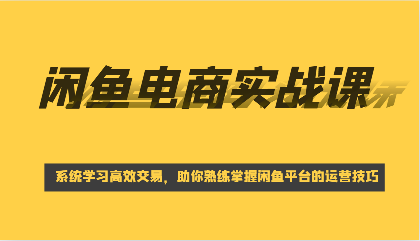 闲鱼电商实战课，系统学习高效交易，助你熟练掌握闲鱼平台的运营技巧_大叔资源库-大叔资源库-资源-项目-副业-兼职-创业-大叔的库-大叔的库