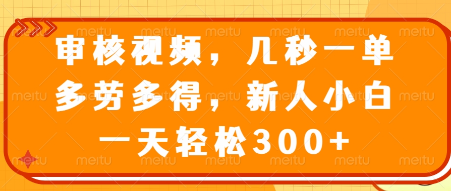 （14294期）审核视频，几秒一单，多劳多得，新人小白一天轻松300+_大叔资源库创业项目网-大叔资源库-资源-项目-副业-兼职-创业-大叔的库-大叔的库
