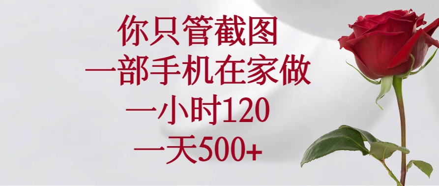 （14248期）你只管截图，一部手机在家做，一小时120，一天500+_大叔资源库创业项目网-大叔资源库-资源-项目-副业-兼职-创业-大叔的库-大叔的库