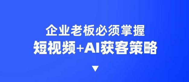 企业短视频AI获客霸屏流量课，6步短视频+AI突围法，3大霸屏抢客策略——大叔资源库创业项目网-大叔资源库-资源-项目-副业-兼职-创业-大叔的库-大叔的库