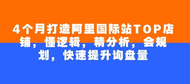 4个月打造阿里国际站TOP店铺，懂逻辑，精分析，会规划，快速提升询盘量——大叔资源库创业项目网-大叔资源库-资源-项目-副业-兼职-创业-大叔的库-大叔的库