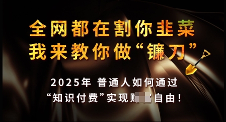 知识付费如何做到月入过W+，2025我来教你做“镰刀”【揭秘】——大叔资源库创业项目网-大叔资源库-资源-项目-副业-兼职-创业-大叔的库-大叔的库