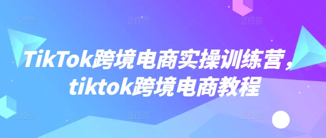 TikTok跨境电商实操训练营，tiktok跨境电商教程——大叔资源库创业项目网-大叔资源库-资源-项目-副业-兼职-创业-大叔的库-大叔的库
