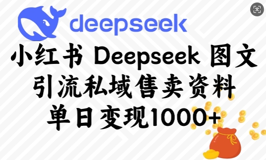 小红书Deepseek图文引流私域售卖资料，单日变现多张——大叔资源库创业项目网-大叔资源库-资源-项目-副业-兼职-创业-大叔的库-大叔的库