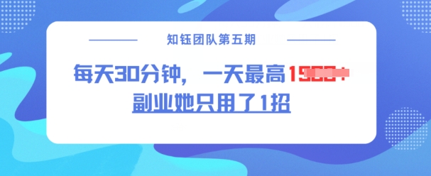 副业她只用了1招，每天30分钟，无脑二创，一天最高1.5k——大叔资源库创业项目网-大叔资源库-资源-项目-副业-兼职-创业-大叔的库-大叔的库
