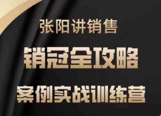 张阳讲销售实战训练营，​案例实战训练，销冠全攻略——大叔资源库创业项目网-大叔资源库-资源-项目-副业-兼职-创业-大叔的库-大叔的库