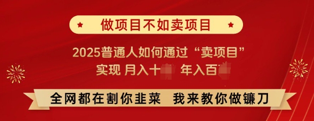 必看，做项目不如卖项目，2025普通人如何通过“卖项目”实现月入十个，年入百个——大叔资源库创业项目网-大叔资源库-资源-项目-副业-兼职-创业-大叔的库-大叔的库