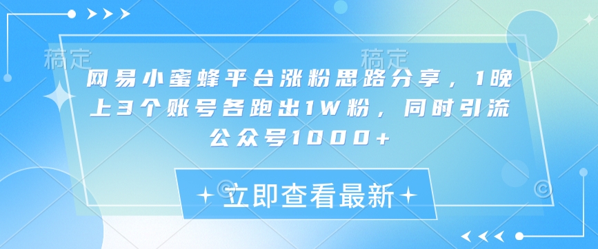网易小蜜蜂平台涨粉思路分享，1晚上3个账号各跑出1W粉，同时引流公众号1000+——大叔资源库创业项目网-大叔资源库-资源-项目-副业-兼职-创业-大叔的库-大叔的库
