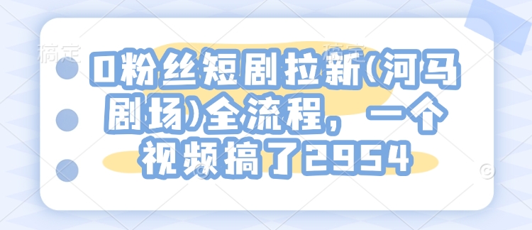 0粉丝短剧拉新(河马剧场)全流程，一个视频搞了2954——大叔资源库创业项目网-大叔资源库-资源-项目-副业-兼职-创业-大叔的库-大叔的库