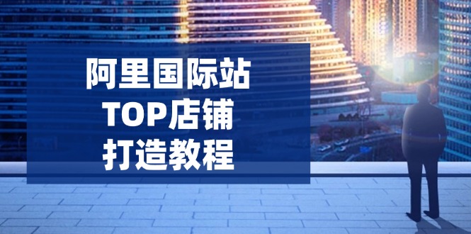 （14269期）阿里国际站TOP店铺打造教程：涵盖平台到高阶，解决运营难题，提升询盘_大叔资源库创业项目网-大叔资源库-资源-项目-副业-兼职-创业-大叔的库-大叔的库