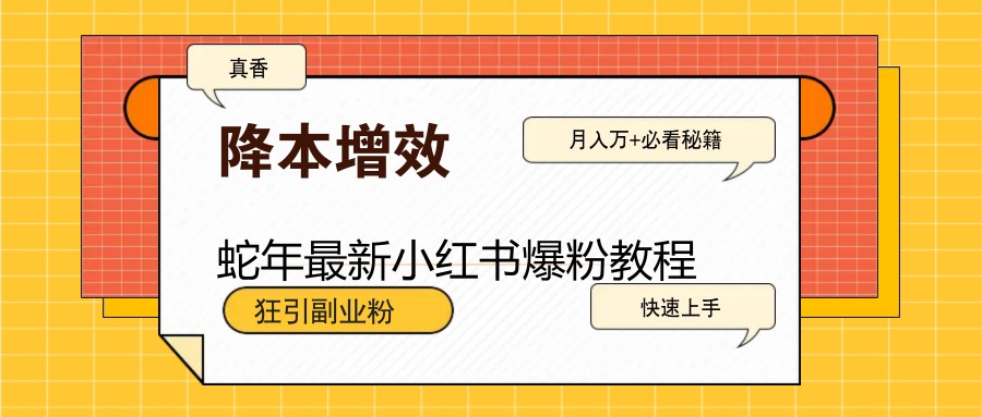 蛇年最新小红书爆粉教程，狂引副业粉，月入万+必看_大叔资源库-大叔资源库-资源-项目-副业-兼职-创业-大叔的库-大叔的库