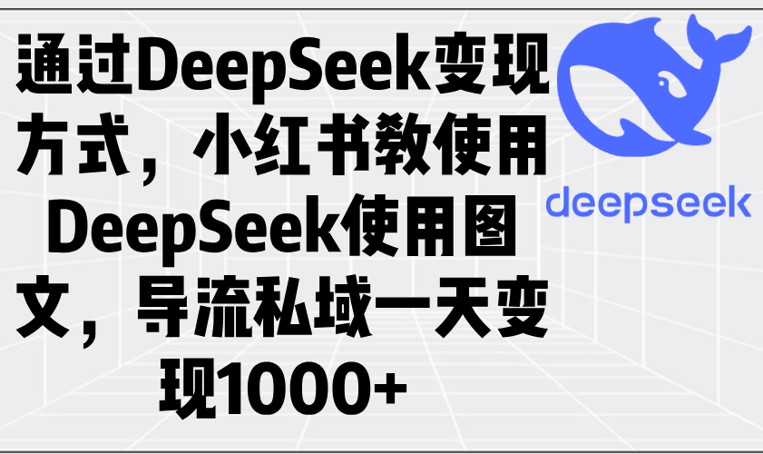 （14179期）通过DeepSeek变现方式，小红书教使用DeepSeek图文，导流私域一天变现1000+_大叔资源库创业项目网-大叔资源库-资源-项目-副业-兼职-创业-大叔的库-大叔的库