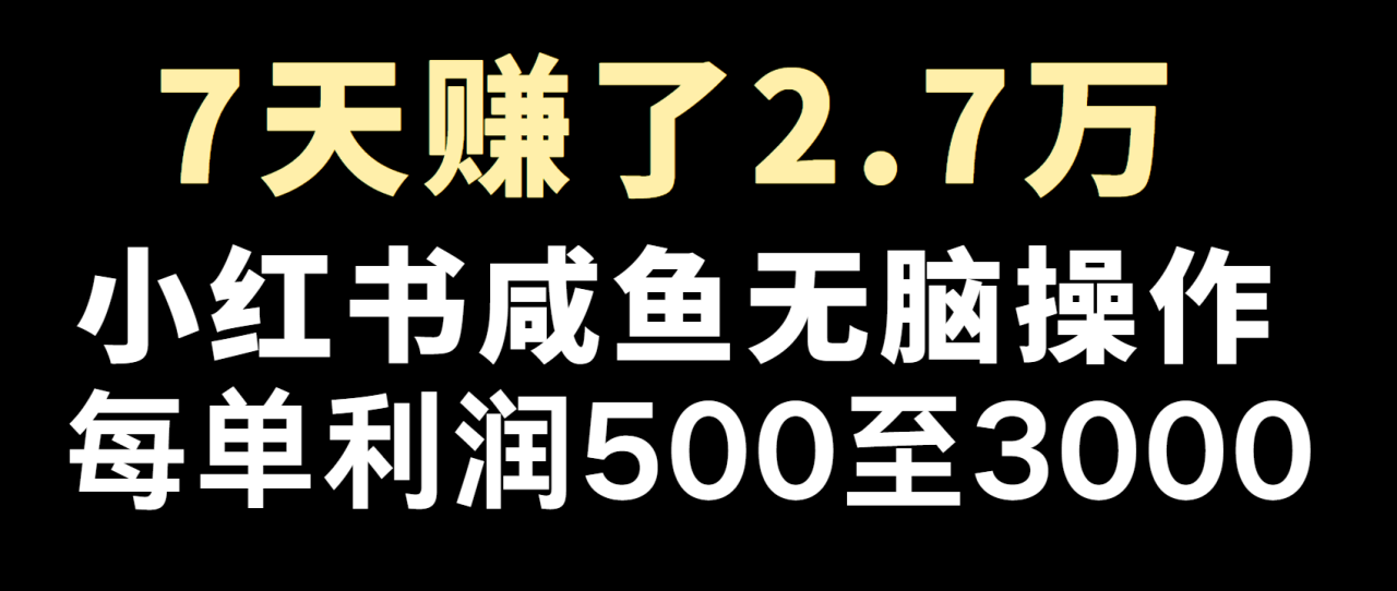 全网首发，7天赚了2.6万，2025利润超级高！_大叔资源库-大叔资源库-资源-项目-副业-兼职-创业-大叔的库-大叔的库