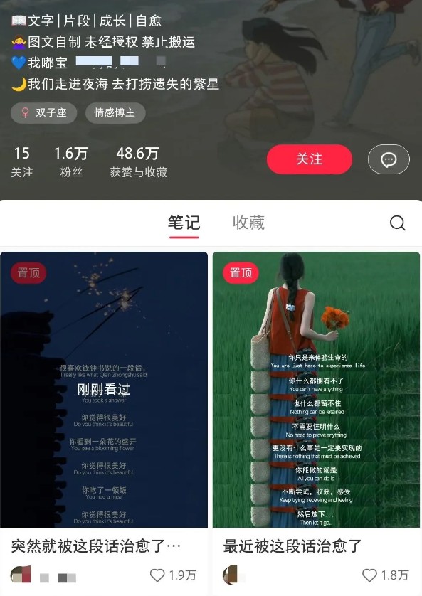 小红书治愈文案图文笔记，零门槛，一分钟制作轻松制作爆款作品月入万元_大叔资源库-大叔资源库-资源-项目-副业-兼职-创业-大叔的库-大叔的库