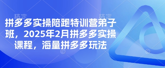 拼多多实操陪跑特训营弟子班，2025年2月拼多多实操课程，海量拼多多玩法——大叔资源库创业项目网-大叔资源库-资源-项目-副业-兼职-创业-大叔的库-大叔的库