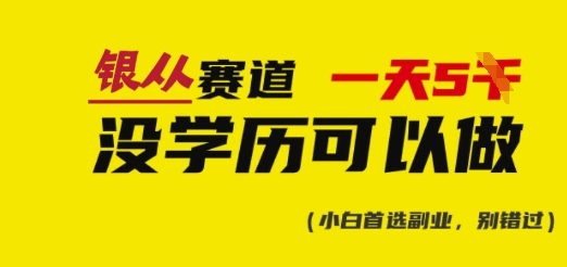 靠银从证书，日入多张，会截图就能做，直接抄答案(附：银从合集)——大叔资源库创业项目网-大叔资源库-资源-项目-副业-兼职-创业-大叔的库-大叔的库