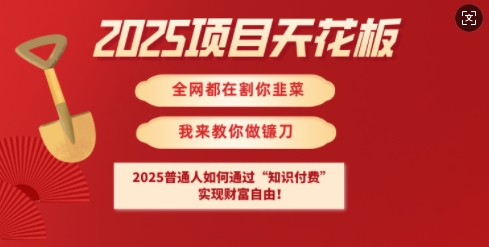 2025项目天花板普通人如何通过知识付费，实现财F自由【揭秘】——大叔资源库创业项目网-大叔资源库-资源-项目-副业-兼职-创业-大叔的库-大叔的库