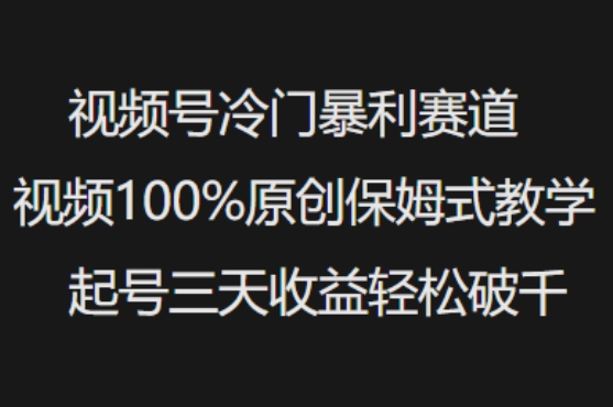 视频号冷门暴利赛道视频100%原创保姆式教学起号三天收益轻松破千——大叔资源库创业项目网-大叔资源库-资源-项目-副业-兼职-创业-大叔的库-大叔的库