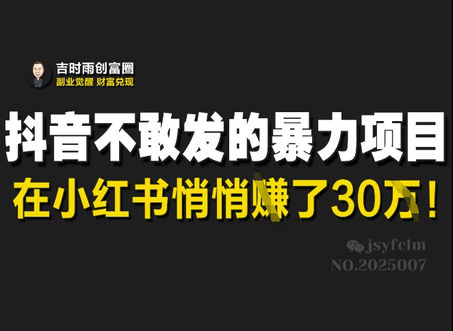 抖音不敢发的暴利项目，在小红书悄悄挣了30W——大叔资源库创业项目网-大叔资源库-资源-项目-副业-兼职-创业-大叔的库-大叔的库