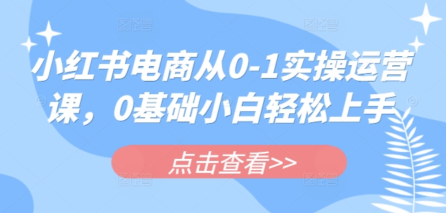 小红书电商从0-1实操运营课，0基础小白轻松上手——大叔资源库创业项目网-大叔资源库-资源-项目-副业-兼职-创业-大叔的库-大叔的库