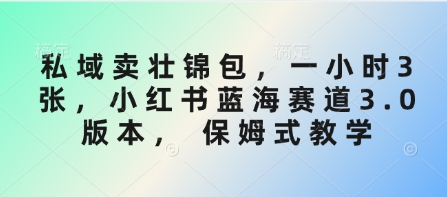 私域卖壮锦包，一小时3张，小红书蓝海赛道3.0版本， 保姆式教学——大叔资源库创业项目网-大叔资源库-资源-项目-副业-兼职-创业-大叔的库-大叔的库