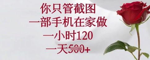 你只管截图，一部手机在家做，一小时120.一天5张【揭秘】——大叔资源库创业项目网-大叔资源库-资源-项目-副业-兼职-创业-大叔的库-大叔的库