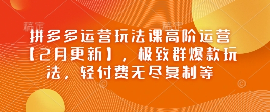 拼多多运营玩法课高阶运营【2月更新】，极致群爆款玩法，轻付费无尽复制等——大叔资源库创业项目网-大叔资源库-资源-项目-副业-兼职-创业-大叔的库-大叔的库