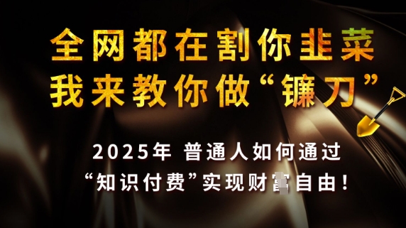 全网都在割你韭菜，我来教你做镰刀，2025普通人如何通过知识付费，实现财F自由【揭秘】——大叔资源库创业项目网-大叔资源库-资源-项目-副业-兼职-创业-大叔的库-大叔的库