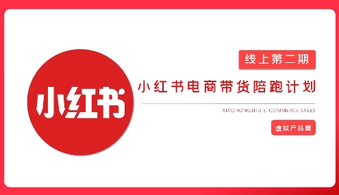 2025小红书虚拟电商实战课，从0到1打造无货源店铺，AI+爆款笔记轻松变现——大叔资源库创业项目网-大叔资源库-资源-项目-副业-兼职-创业-大叔的库-大叔的库