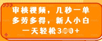 审核视频，几秒一单，多劳多得，新人小白一天轻松3张【揭秘】——大叔资源库创业项目网-大叔资源库-资源-项目-副业-兼职-创业-大叔的库-大叔的库