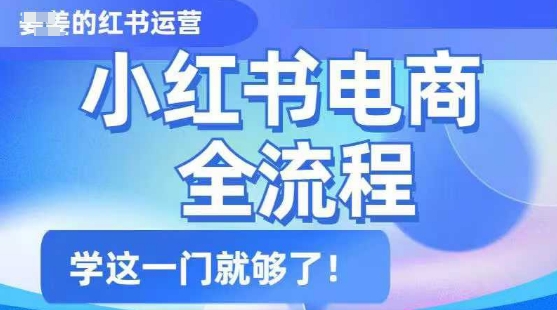 小红书电商全流程，精简易懂，从入门到精通，学这一门就够了——大叔资源库创业项目网-大叔资源库-资源-项目-副业-兼职-创业-大叔的库-大叔的库