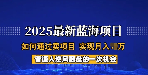 2025蓝海项目，普通人如何通过卖项目，实现月入过W，全过程【揭秘】——大叔资源库创业项目网-大叔资源库-资源-项目-副业-兼职-创业-大叔的库-大叔的库