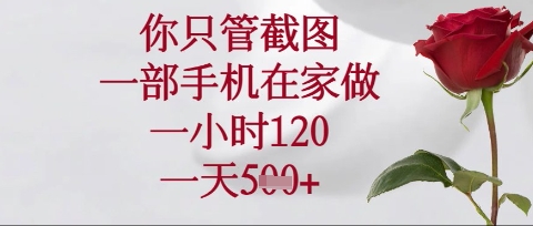 你只管截图，一部手机在家操作，一小时120.一天5张【揭秘】——大叔资源库创业项目网-大叔资源库-资源-项目-副业-兼职-创业-大叔的库-大叔的库