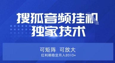 【搜狐音频挂G】独家技术，可矩阵可放大，红利期稳定月入8k【揭秘】——大叔资源库创业项目网-大叔资源库-资源-项目-副业-兼职-创业-大叔的库-大叔的库