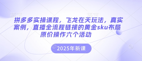 拼多多实操课程，飞龙在天玩法，真实案例，直播全流程链接的黄金sku布局原价操作六个活动——大叔资源库创业项目网-大叔资源库-资源-项目-副业-兼职-创业-大叔的库-大叔的库