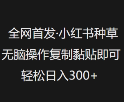 全网首发，小红书种草无脑操作，复制黏贴即可，轻松日入3张——大叔资源库创业项目网-大叔资源库-资源-项目-副业-兼职-创业-大叔的库-大叔的库