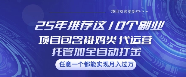25年推荐这10个副业项目包含褂鸡类、代运营托管类、全自动打金类【揭秘】——大叔资源库创业项目网-大叔资源库-资源-项目-副业-兼职-创业-大叔的库-大叔的库