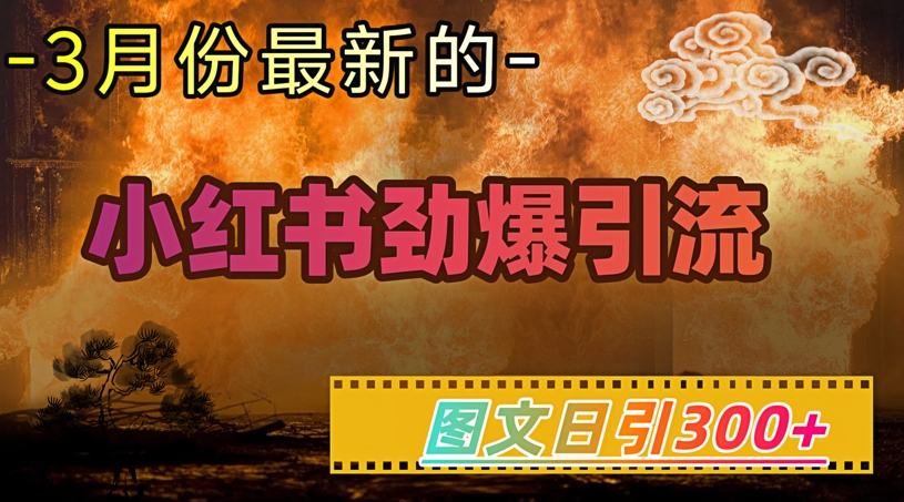 小红书超劲爆引流手段，图文日引300+轻松变现1W——大叔资源库创业项目网-大叔资源库-资源-项目-副业-兼职-创业-大叔的库-大叔的库