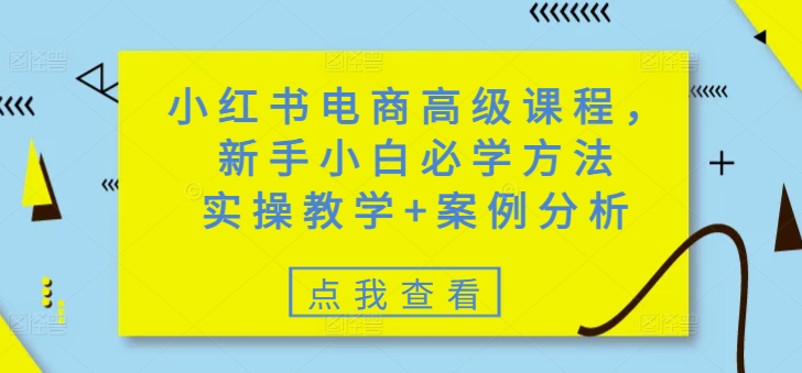 小红书电商高级课程，新手小白必学方法，实操教学+案例分析——大叔资源库创业项目网-大叔资源库-资源-项目-副业-兼职-创业-大叔的库-大叔的库