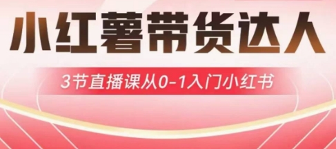 小红薯达人带货启航计划，3节直播课从0-1入门小红书——大叔资源库创业项目网-大叔资源库-资源-项目-副业-兼职-创业-大叔的库-大叔的库