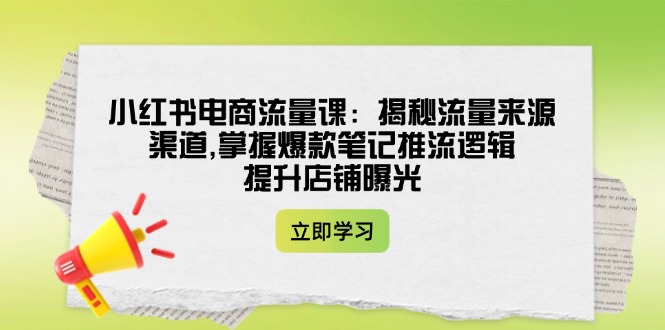 （14318期）小红书电商流量课：揭秘流量来源渠道,掌握爆款笔记推流逻辑,提升店铺曝光_大叔资源库创业项目网-大叔资源库-资源-项目-副业-兼职-创业-大叔的库-大叔的库
