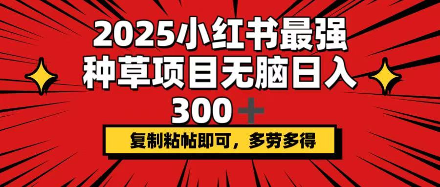 （14375期）2025小红书最强种草项目，无脑日入300+，复制粘帖即可，多劳多得_大叔资源库创业项目网-大叔资源库-资源-项目-副业-兼职-创业-大叔的库-大叔的库