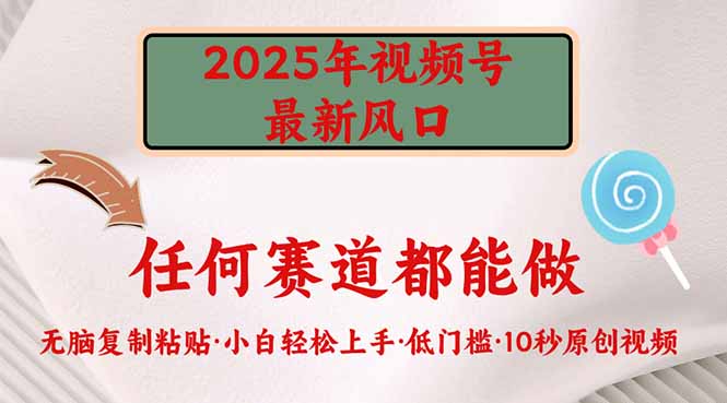 （14453期）2025年视频号新风口，低门槛只需要无脑执行_大叔资源库创业项目网-大叔资源库-资源-项目-副业-兼职-创业-大叔的库-大叔的库